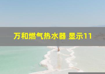 万和燃气热水器 显示11